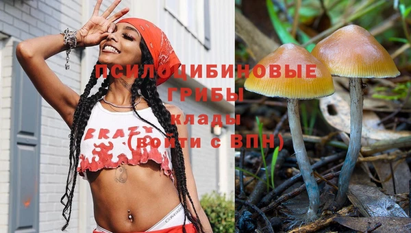 стаф Балабаново