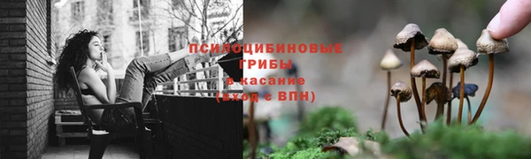 бутират Баксан