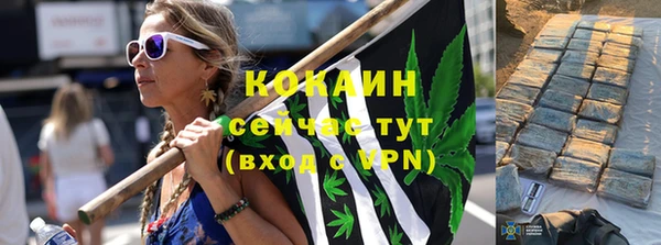 крисы Балахна